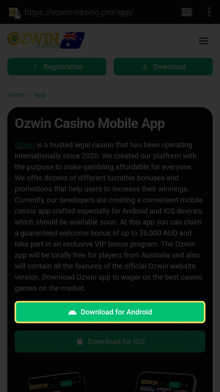 Go to the Ozwin website using our link.